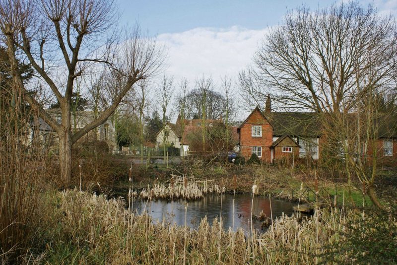 Village pond